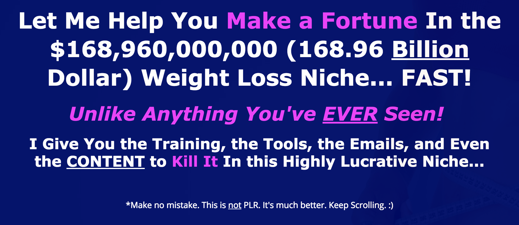 Weight Loss Niche Domination Review